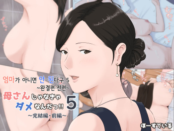 [Horsetail] Kaa-san Janakya Dame Nanda!! 5 ~Kanketsuhen Zenpen~ | 엄마가 아니면 안 된다구!! 5 ~완결편·전편~ [Korean] cover