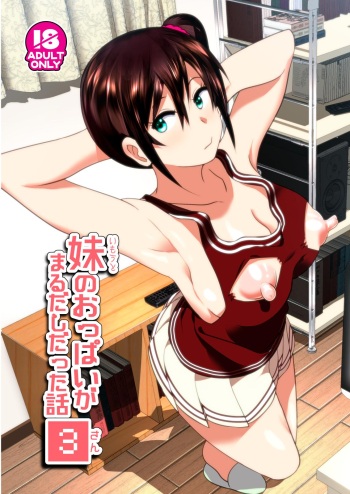 [Supe (Nakani)] Imouto no Oppai ga Marudashi Datta Hanashi 3 [Digital] cover