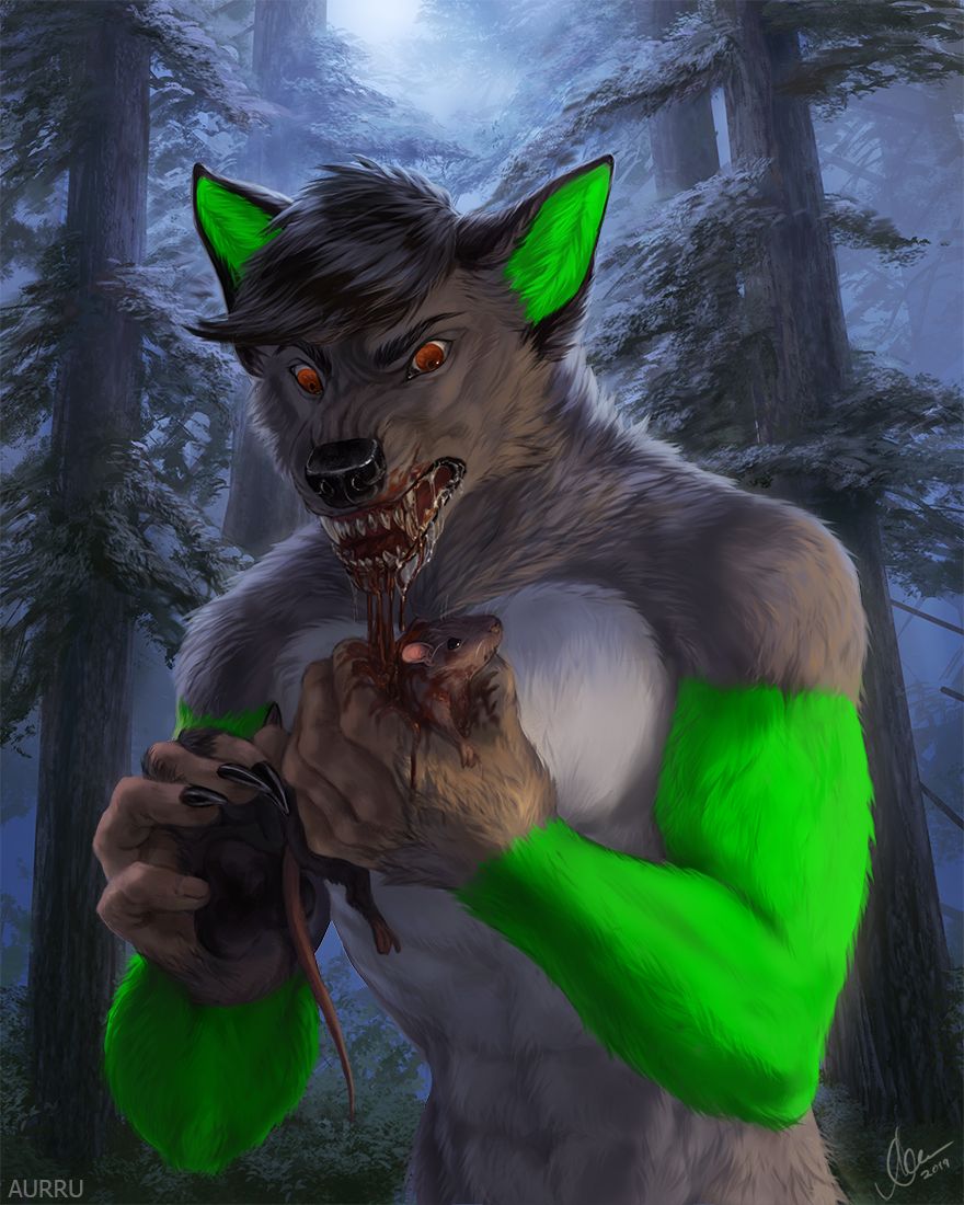 Aurru's Gallery page 5 full