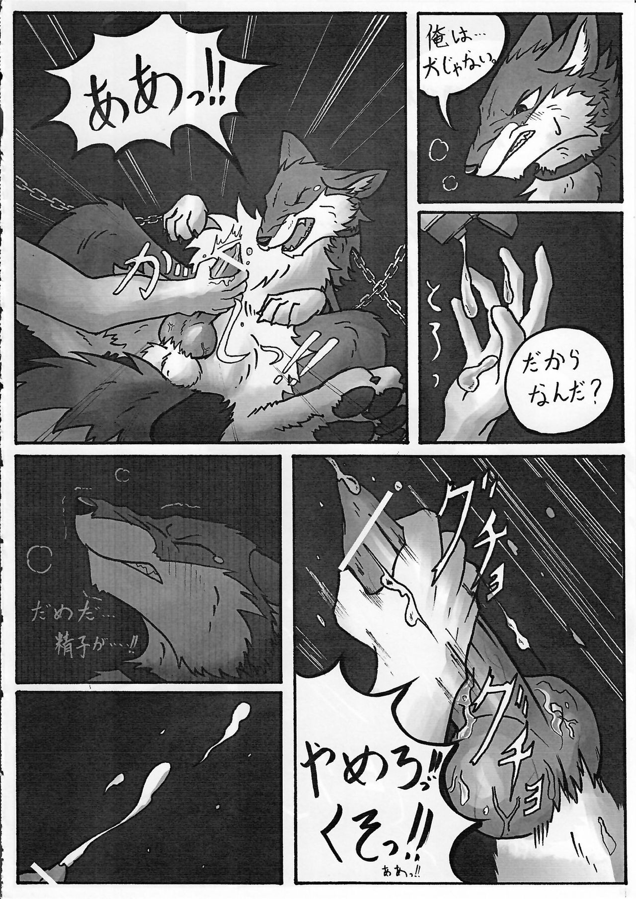 KTQ 13 page 11 full