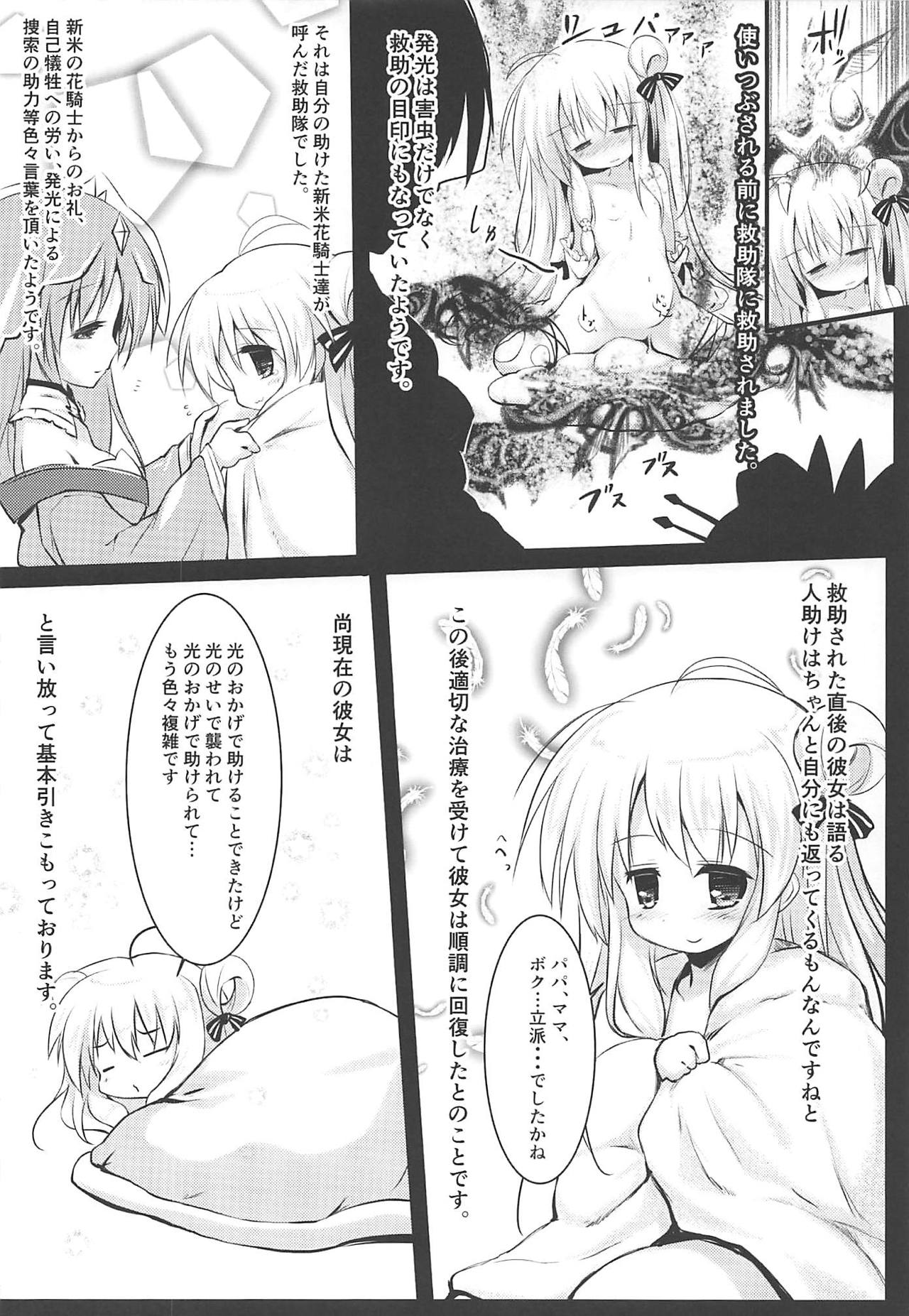 Gaichuu Higai Houkokusho File 3 page 11 full