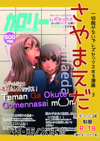 [Calorie & Cholesterols (Reba☆)] Sayamaeda cover