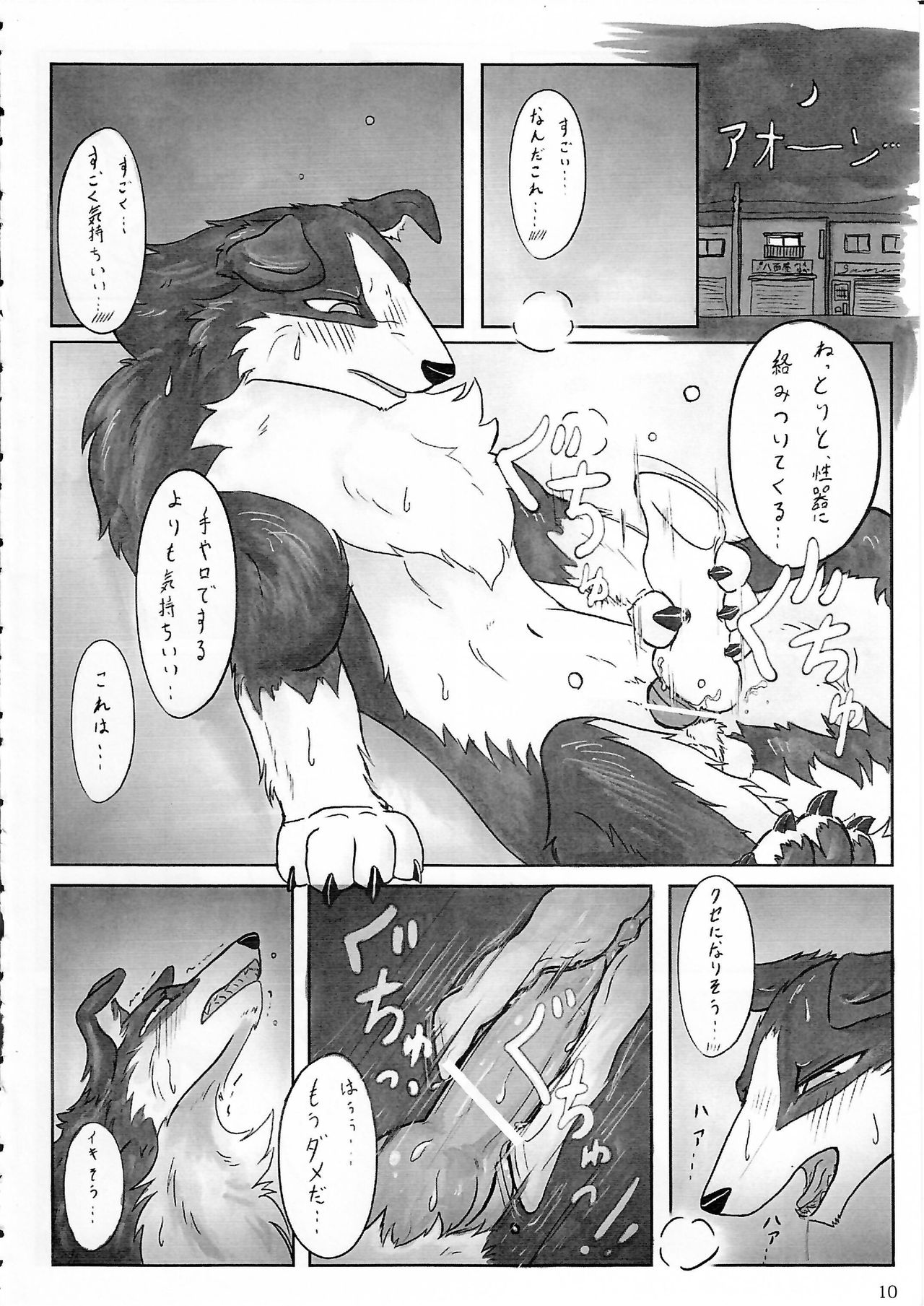 KTQ 5 page 11 full