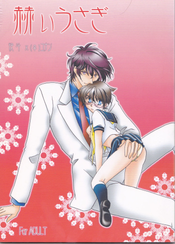 [MISTER (Hara Nao-to)] Kagayai usagi (Detective Conan) cover
