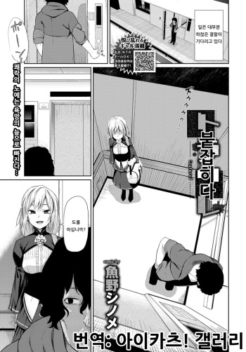 [Uono Shinome] Toraware - Captured | 붙잡히다 (COMIC BAVEL 2019-02) [Korean] [아이카츠! 갤러리] [Digital] cover