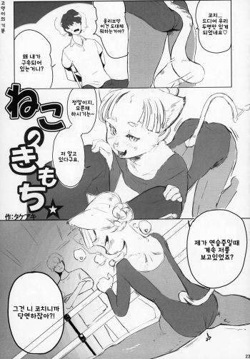 (C95) [Mayoineko (Takeaki)] Neko no Kimochi | 고양이의 기분 (Kemokko Lovers 9) [Korean] cover