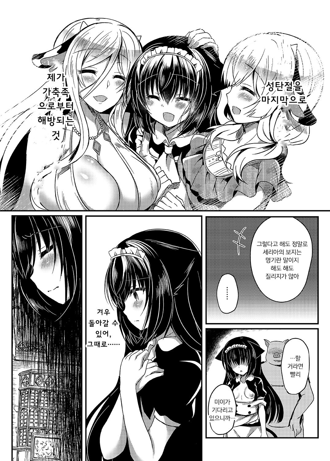 Nekokan ~Seibyou Hen~ | 묘간 ~어른 고양이 편~ page 11 full