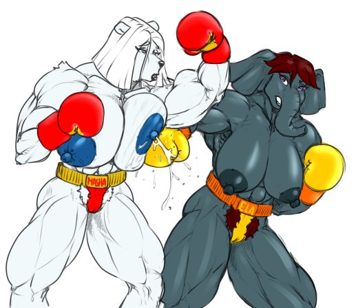 Ela Shah vs Masha Nikolaeva for The Asia Tits-Boxing Championship page 3 full