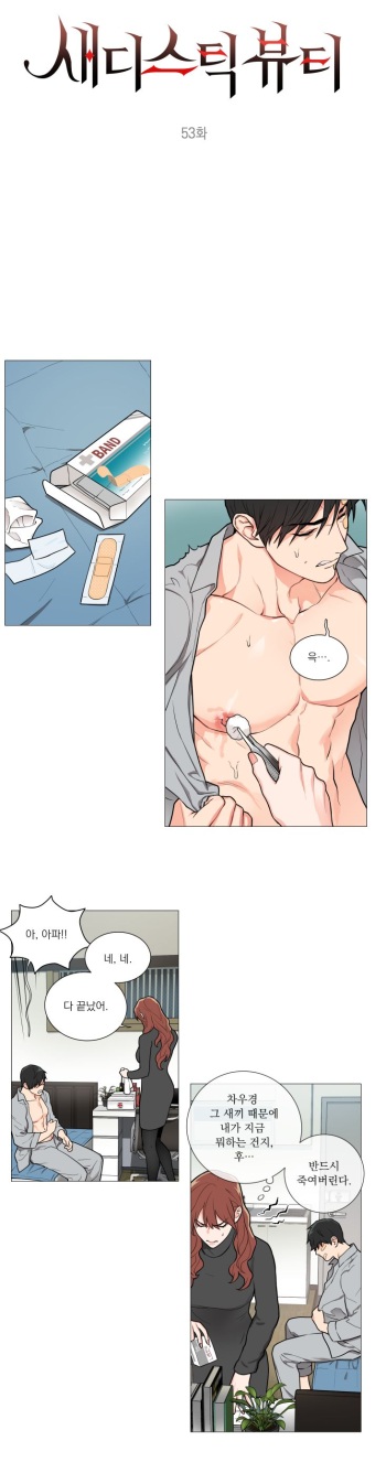 Sadistic Beauty 새디스틱 뷰티 Chapter 53 [Korean] cover