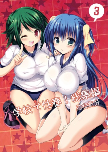 [Otomekibun (Sansyoku Amido.)] Gakkou de Seishun! Soushuuhen 3 [2016-11-04] cover