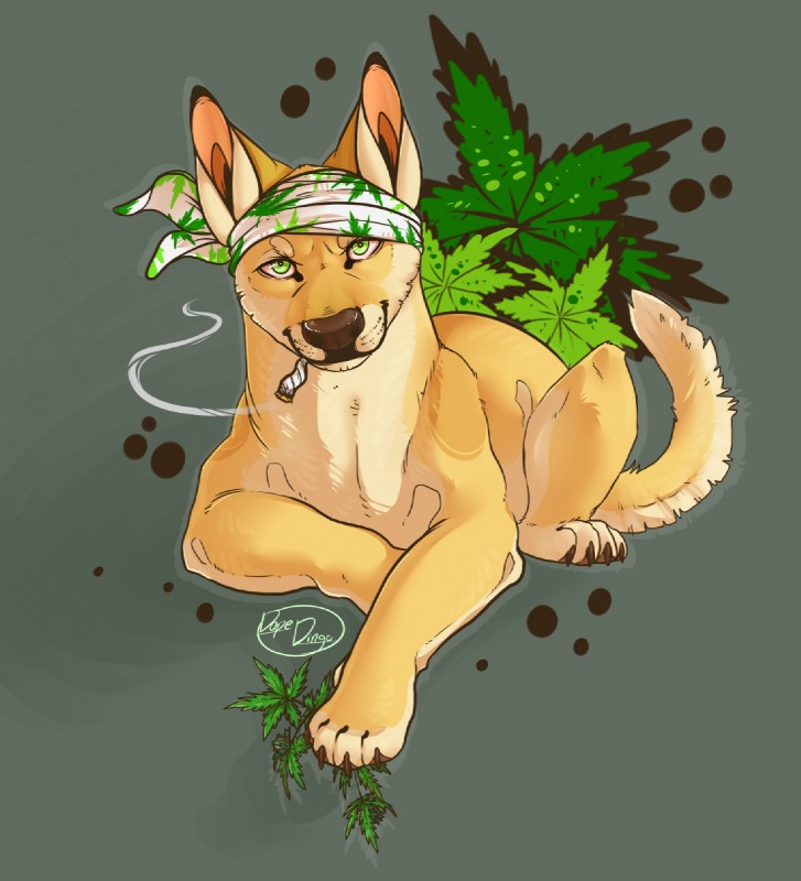 ARTIST dope-dingo page 6 full