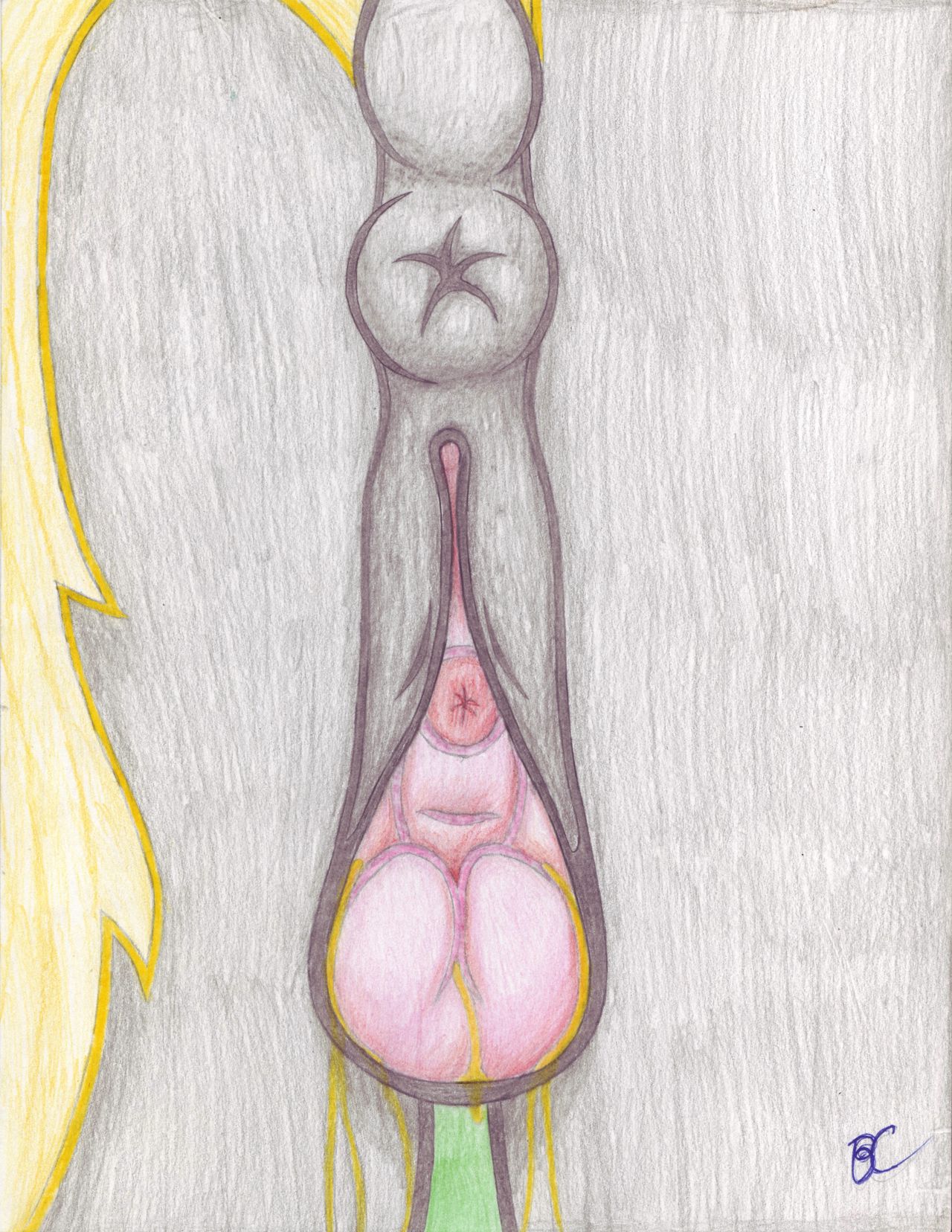 Vulvar Winking With A Giga Clit page 6 full