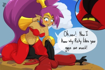 [NSFAni] Shantae and the Tinkerbat cover