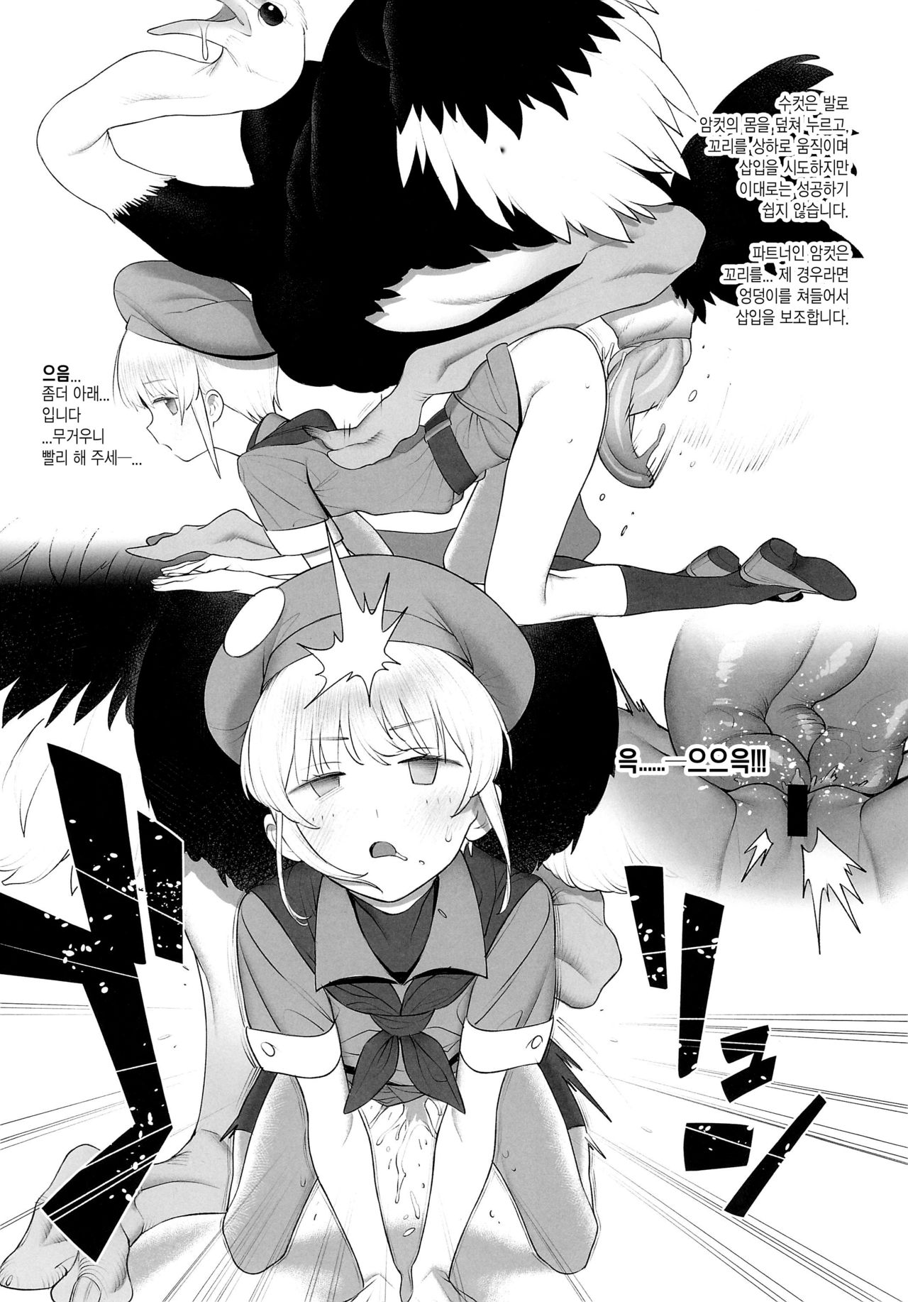 Tori no Kimochi Ii | 새 자지 기분 좋아 page 11 full