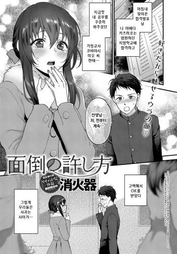 [Syoukaki] Mendou no Yurushikata (COMIC Anthurium 2019-08) [Korean] [Digital] cover