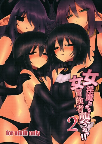 (C96) [Shadan Katsudoh (Kyuusuikei)] Onna Inma dakara Onna Boukensha Osou ne!! 2 cover