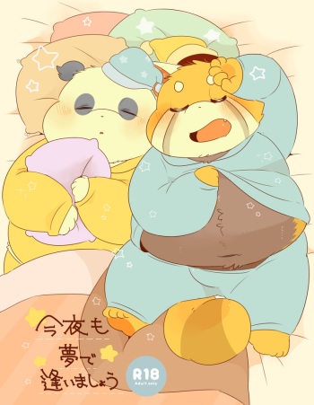 (Kemoket 6) [Kokemomo (Hyaku)] Konya mo Yumedeaimashou cover