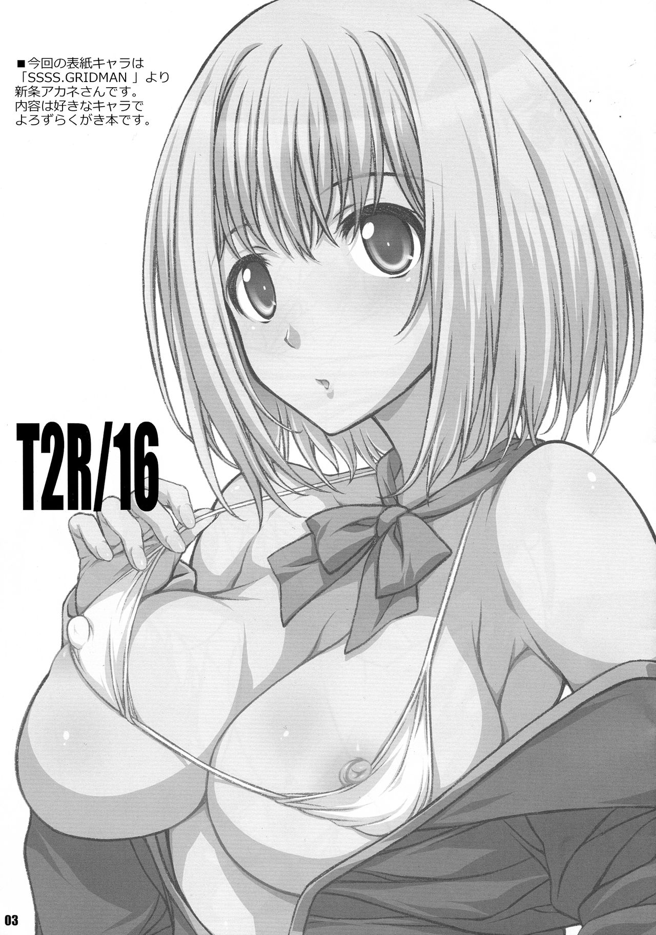 T2R/16 page 3 full