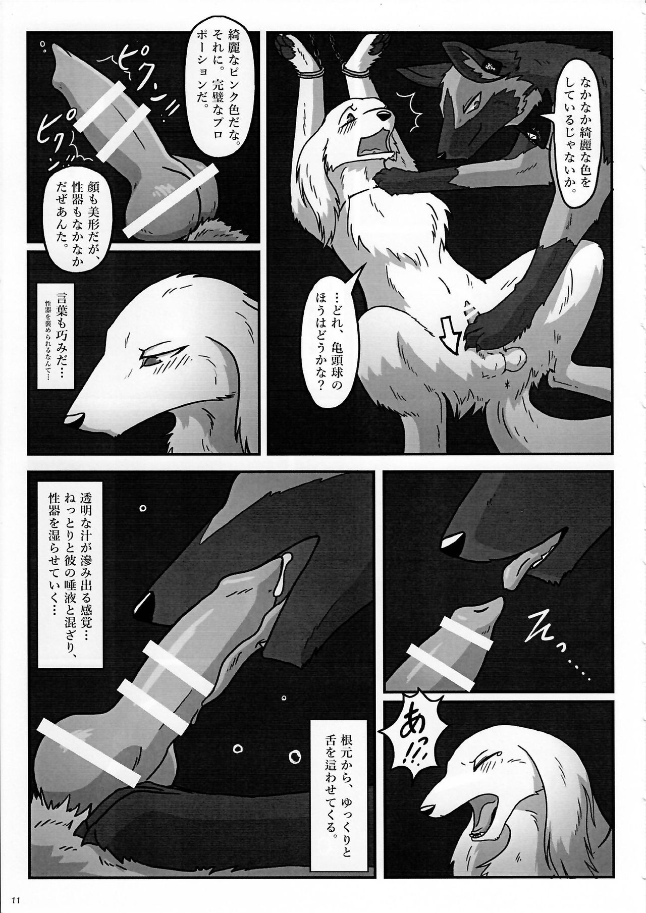 KTQ 7 page 11 full