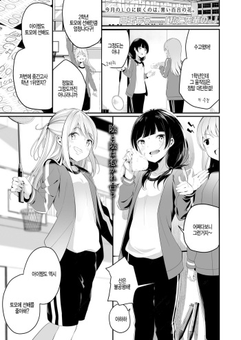 [Shiratama Mochi] Watashi to Senpai no. (COMIC LO 2019-08) [Korean] [Digital] cover