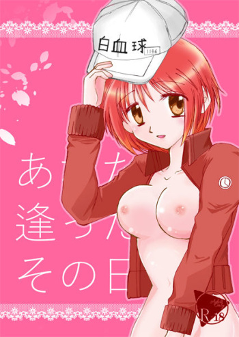 [P.L.D.(Kaori)] Anata ni atta sonohi kara(Hataraku Saibou)sample cover