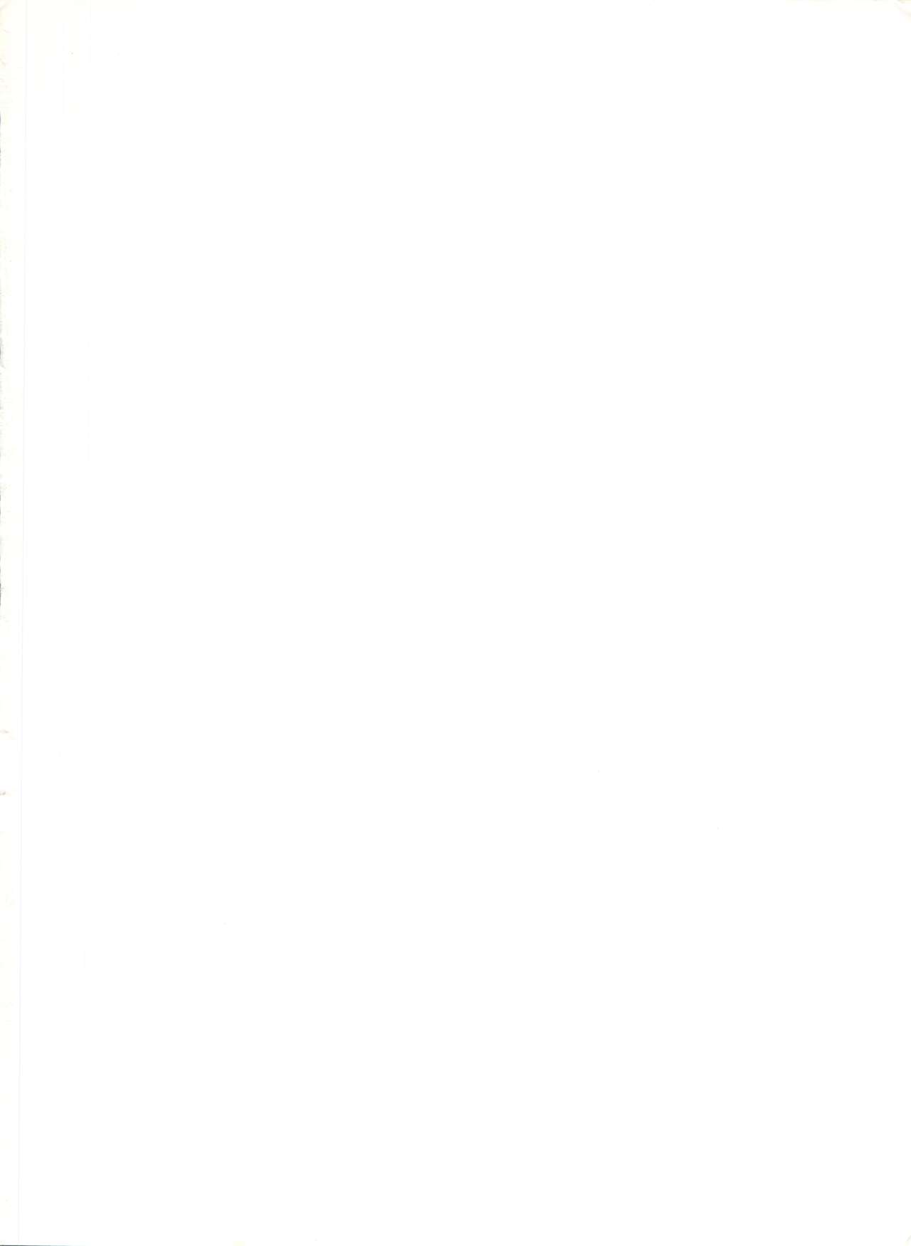 Senzo ha Hiaburi page 3 full