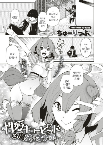 [Tulip] Seiai Cupid to Mahou no Onaho | 성애의 큐피드와 마법의 오나홀 (COMIC X-EROS #74) [Korean] [Digital] cover