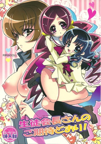 (SUPER19) [RIRIADOLL (Takewakamaru)] Seitokaichou-san no Gokitai doori! | Just as the Student Council President Anticipated! (HeartCatch PreCure!) [English] [/u/ scanlations] cover