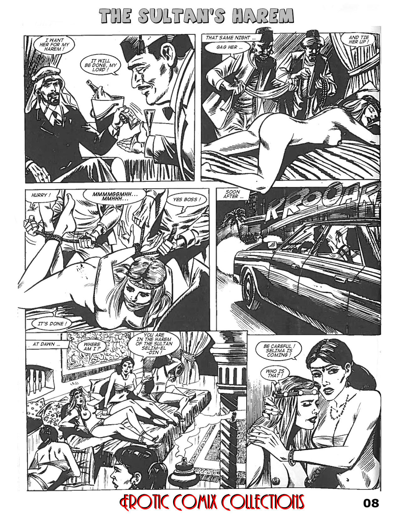 CICCIOLINA - THE SULTAN'S HAREM - A JKSKINSFAN / JRYTER TRANSLATION page 10 full