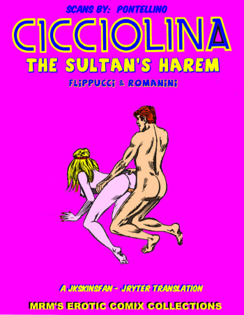 CICCIOLINA - THE SULTAN'S HAREM - A JKSKINSFAN / JRYTER TRANSLATION cover