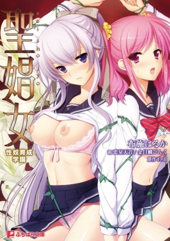 [huse haruka, kimedai pinku] Sei Shoujo ~Seido Ikusei Gakuen~ | 성창녀 ~ 성노예 육성학원 ~ cover