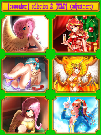 [Racoonkun] collection 2 [MLP] (adjustment) cover