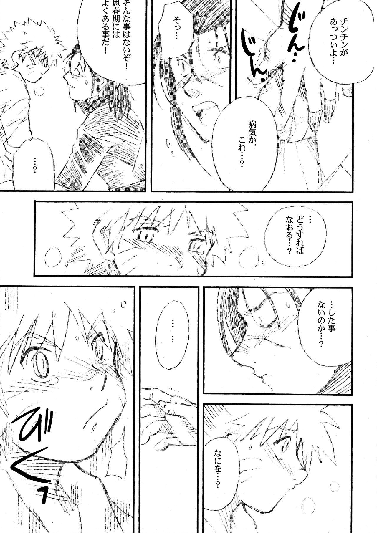 IruNaru no Wadachi page 12 full