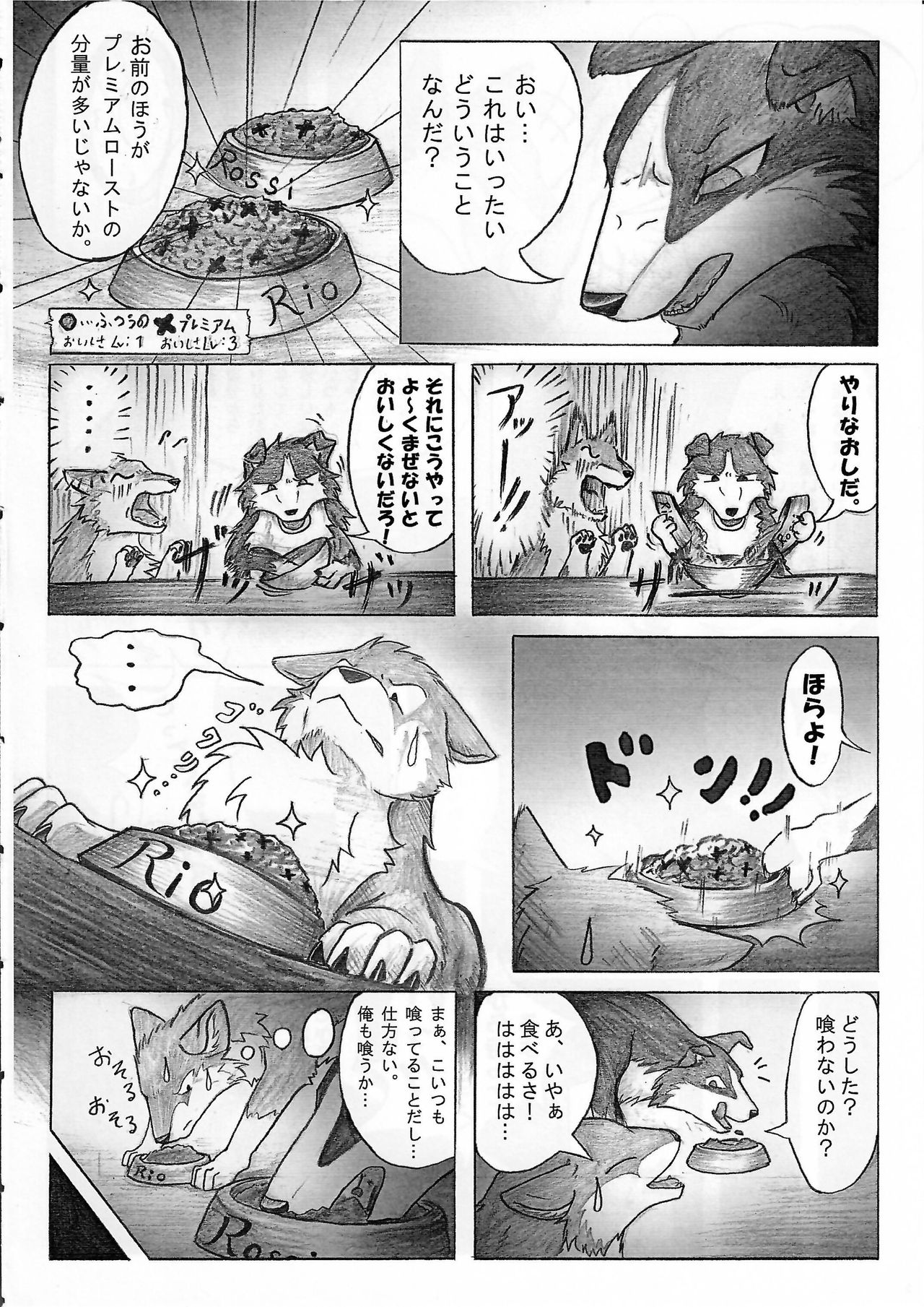 KTQ 15/2 page 7 full