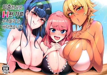 (C96) [A Gokuburi (Sian)] Odekake Shita no wa H na Gal Onee-chan-tachi to no Umi deshita | 외출한 곳은 H한 갸루 누나들과 간 바다였습니다 [Korean] cover