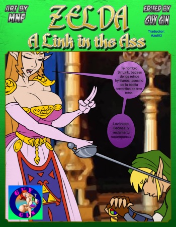 Zelda: A Link in the Ass (GuyGin Remix) [Spanish] cover