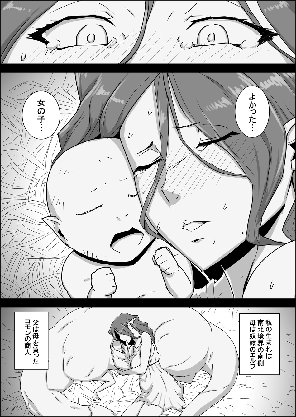 Mada Daimei no Nai Fantasy - Jimi na Elf to Minarai no Senshi X page 6 full