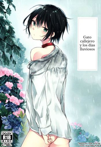 (COMITIA117) [Aoiro Ichiza (Aoiro Ichigou)] Nora Neko to Rainy Days [Spanish] [Avatar-kun] cover