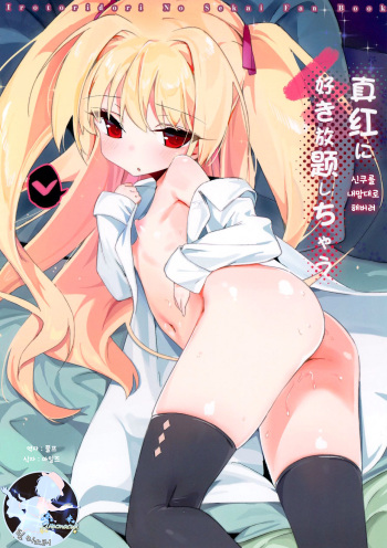 (C94) [TOHOORIN (Taketori Zaiku)] Shinku ni Sukihoudai Shichau | 신쿠를 내맘대로 해버려 (Irotoridori no Sekai) [Korean] [팀 마스터] cover
