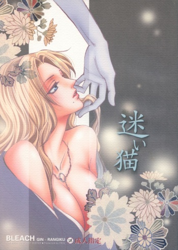 (C73) [Purincho. (Purin)] Mayoi Neko | Stray cat (Bleach) [English] [Echo-chan] cover