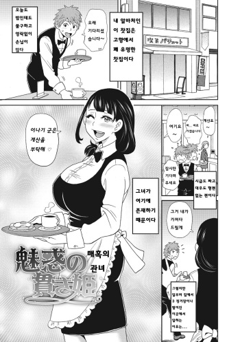 [John K. Pe-ta] Miwaku no Tsuranuki Hime | 매혹의 관녀 (Itoshiki Acmate) [Korean] [착한형] [Digital] cover
