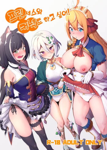 (C96) [Ikihaji Hummingbird (Amano Don)] Princess to Connect Shitai! | 프린세스와 커넥트 하고 싶어! (Princess Connect! Re:Dive) [Korean] cover