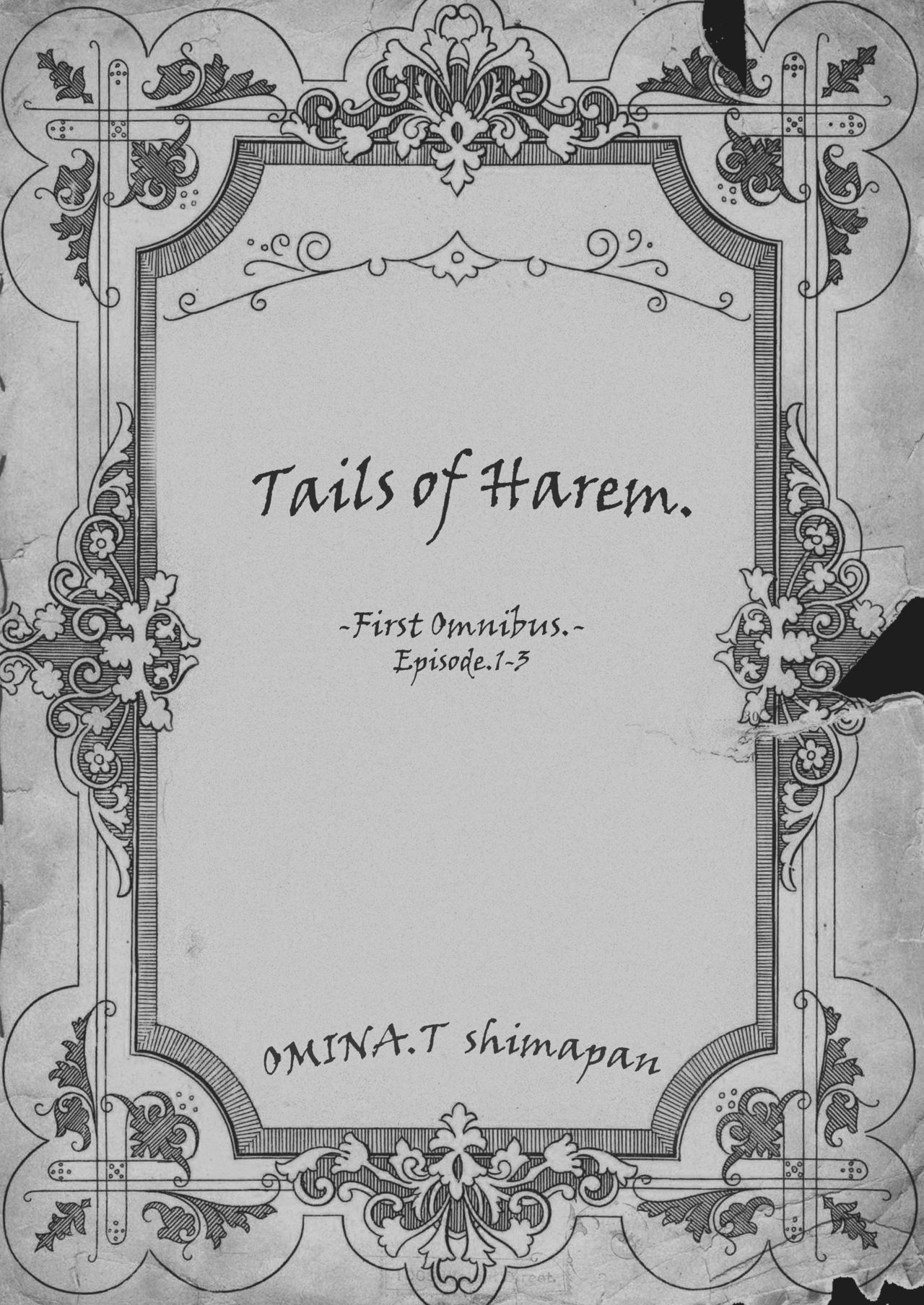 Isekai Harem Monogatari Soushuuhen 1 page 4 full