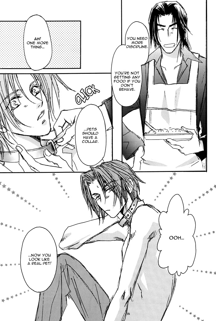 PET page 11 full