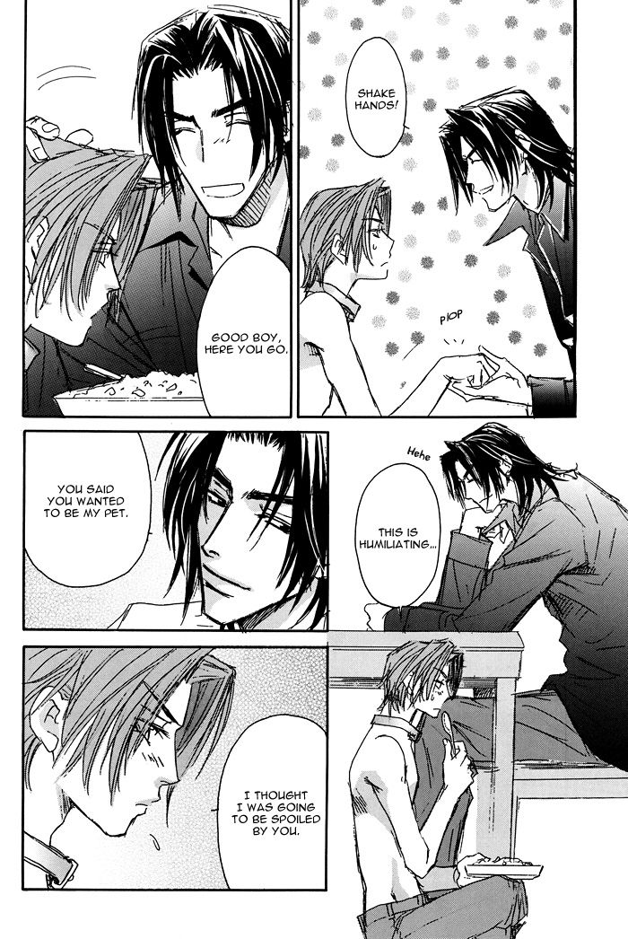 PET page 12 full