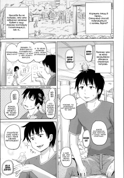 Shiawase no Aoitori | Синяя птица счастья