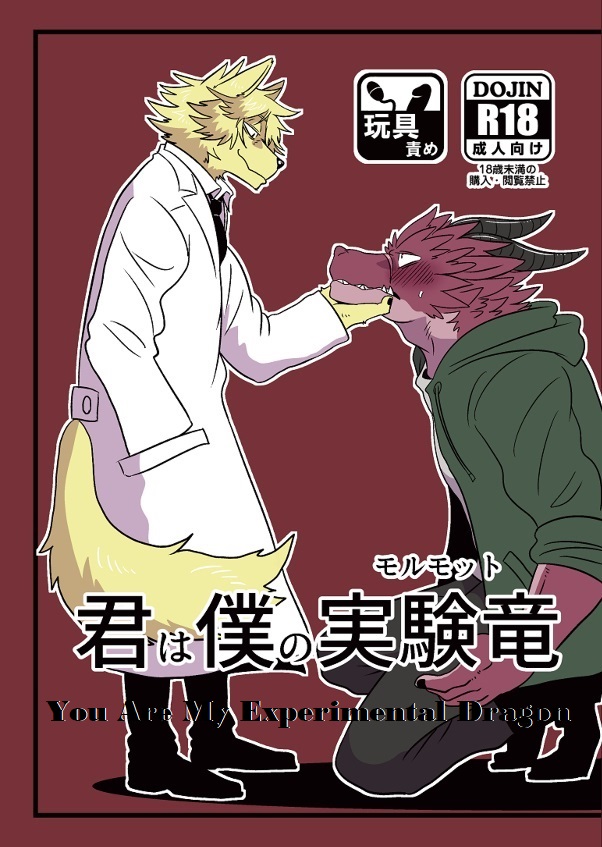 Kimi wa Boku no Marmot | You are My Experimental Dragon page 1 full