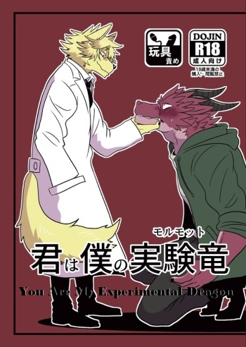 (Shinshun Kemoket 5) [4D-POCKET (Kurumi Ken)] Kimi wa Boku no Marmot | You are My Experimental Dragon [Korean] [Mordy] cover