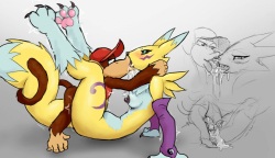 Renamon and DIddy Kong