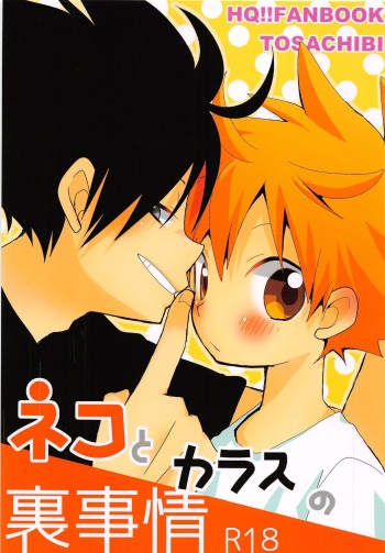 (C86) [Piyotama (Ayana Rio)] Neko to Karasu no Ura Jijou (Haikyu!!) cover
